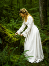 Renaissance Lucretia Borgia Style Chemise Dress